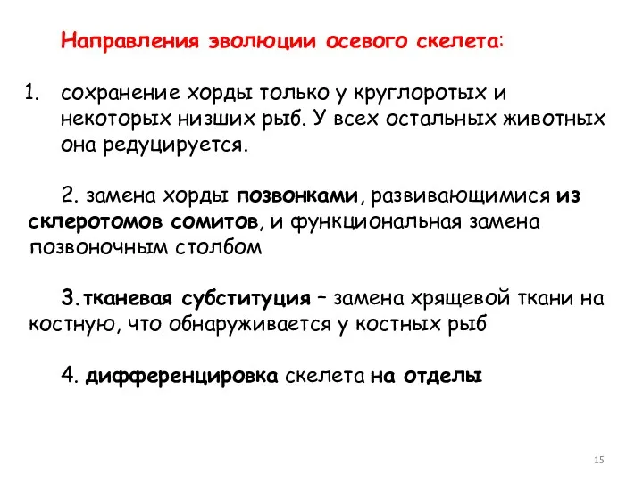 Направления эволюции осевого скелета: сохранение хорды только у круглоротых и