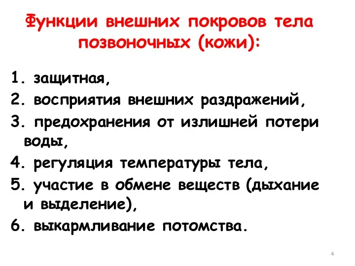 Функции внешних покровов тела позвоночных (кожи): 1. защитная, 2. восприятия