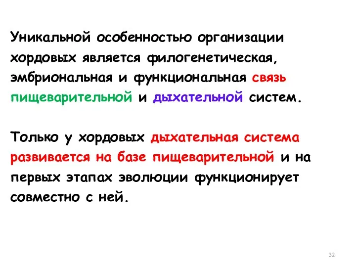 Уникальной особенностью организации хордовых является филогенетическая, эмбриональная и функциональная связь