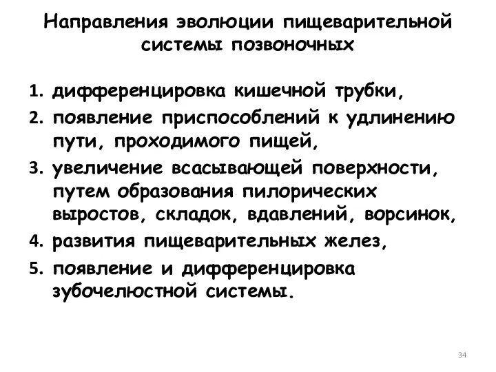 Направления эволюции пищеварительной системы позвоночных дифференцировка кишечной трубки, появление приспособлений