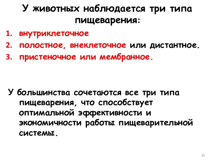 У животных наблюдается три типа пищеварения: внутриклеточное полостное, внеклеточное или