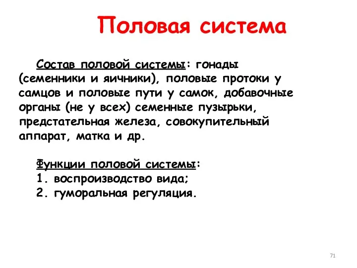 Состав половой системы: гонады (семенники и яичники), половые протоки у