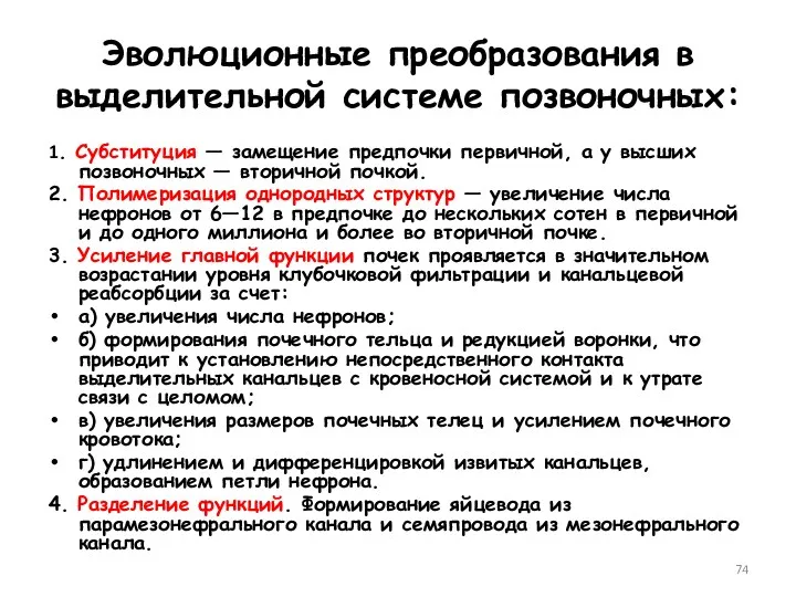 Эволюционные преобразования в выделительной системе позвоночных: 1. Субституция — замещение