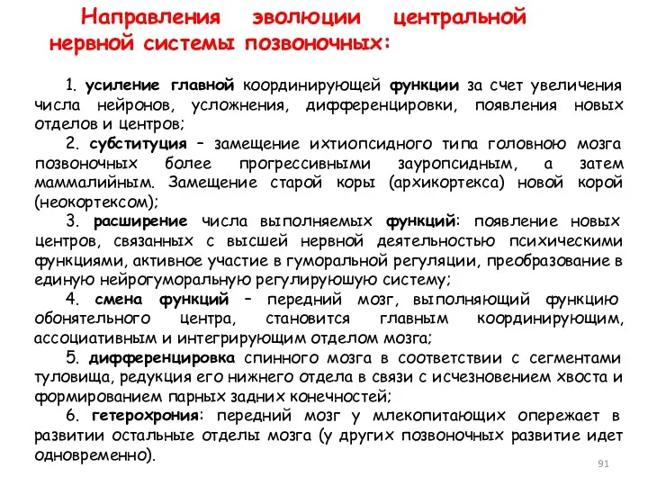 1. усиление главной координирующей функции за счет увеличения числа нейронов,