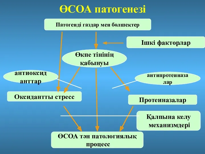 ӨСОА патогенезі Патогенді газдар мен бөлшектер Ішкі факторлар Өкпе тінінің