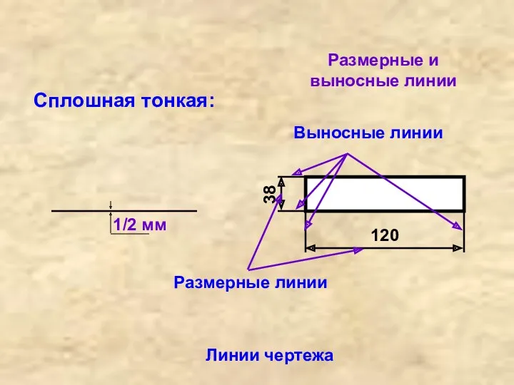 Линии чертежа Сплошная тонкая: Размерные и выносные линии Размерные линии Выносные линии