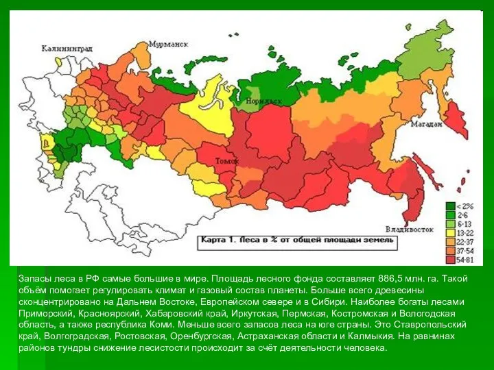 Запасы леса в РФ самые большие в мире. Площадь лесного