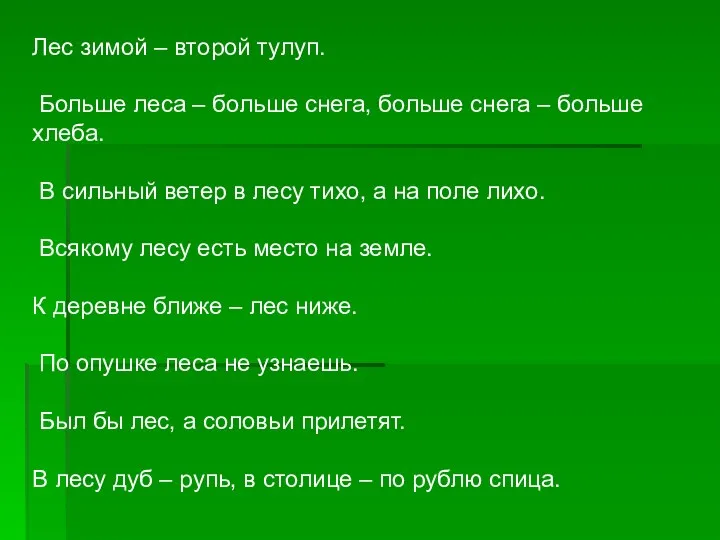 Лес зимой – второй тулуп. Больше леса – больше снега,