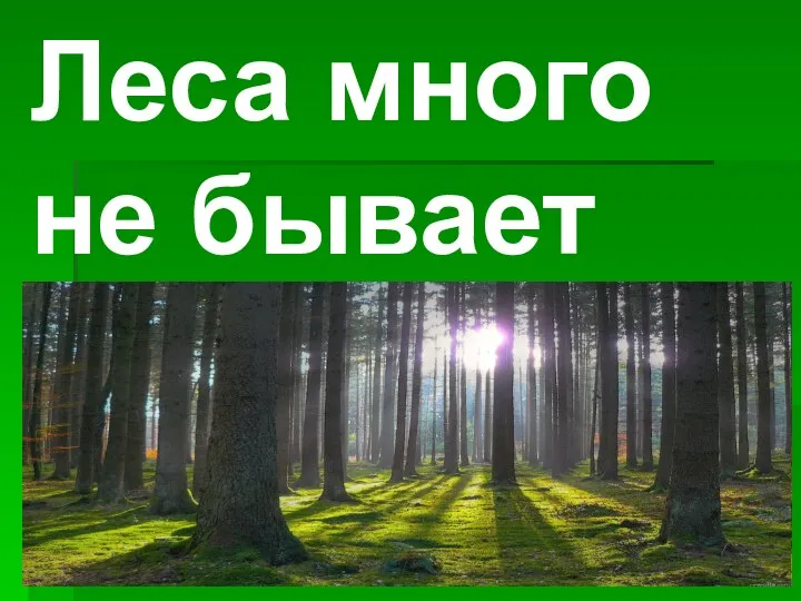 Леса много не бывает