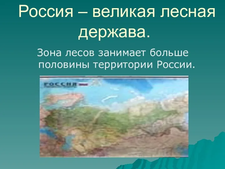 Россия – великая лесная держава. Зона лесов занимает больше половины территории России.