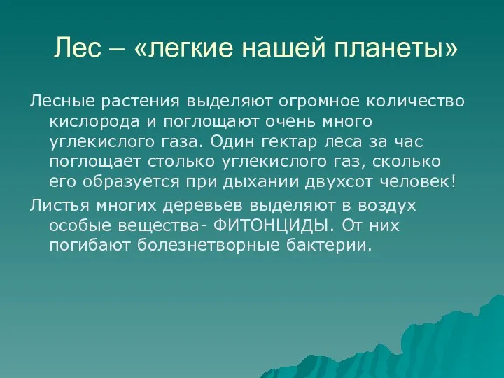 Лес – «легкие нашей планеты» Лесные растения выделяют огромное количество