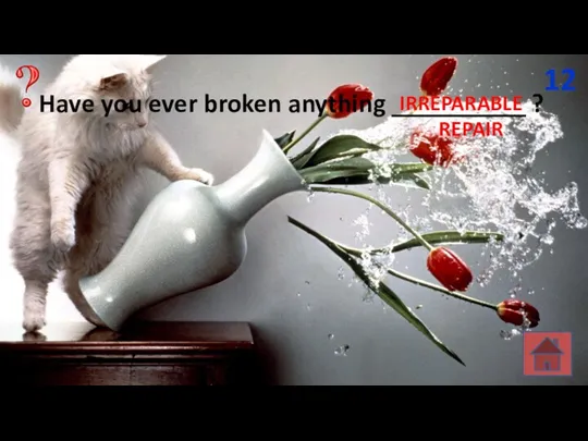 Have you ever broken anything __________ ? 12 REPAIR IRREPARABLE