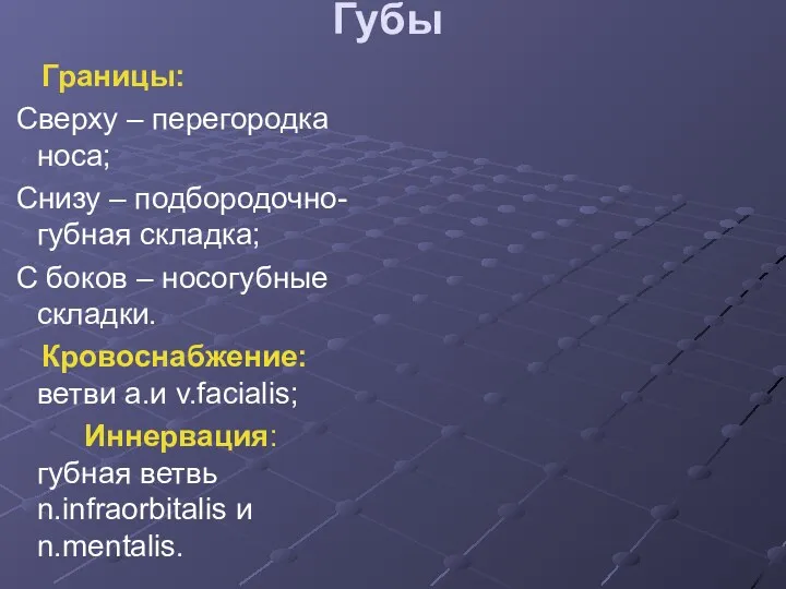 Губы Границы: Сверху – перегородка носа; Снизу – подбородочно-губная складка;