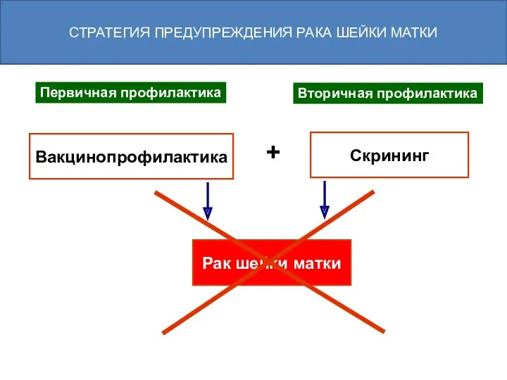 Вакцинопрофилактика Скрининг + Рак шейки матки Первичная профилактика Вторичная профилактика СТРАТЕГИЯ ПРЕДУПРЕЖДЕНИЯ РАКА ШЕЙКИ МАТКИ