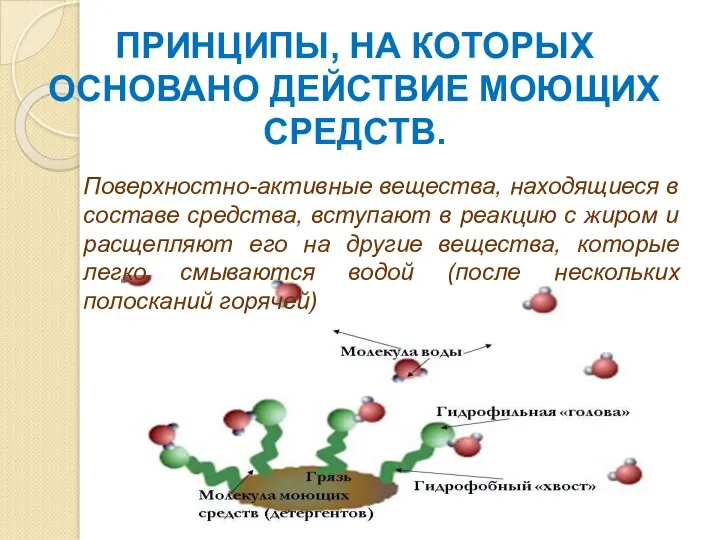 ПРИНЦИПЫ, НА КОТОРЫХ ОСНОВАНО ДЕЙСТВИЕ МОЮЩИХ СРЕДСТВ. Поверхностно-активные вещества, находящиеся