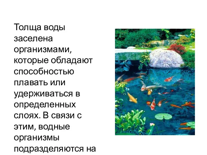 Толща воды заселена организмами, которые обладают способностью плавать или удерживаться