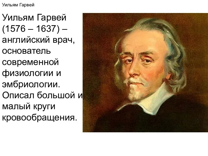 Уильям Гарвей Уильям Гарвей (1576 – 1637) – английский врач,