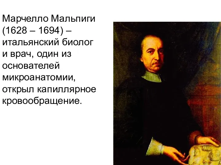 Марчелло Мальпиги (1628 – 1694) – итальянский биолог и врач,