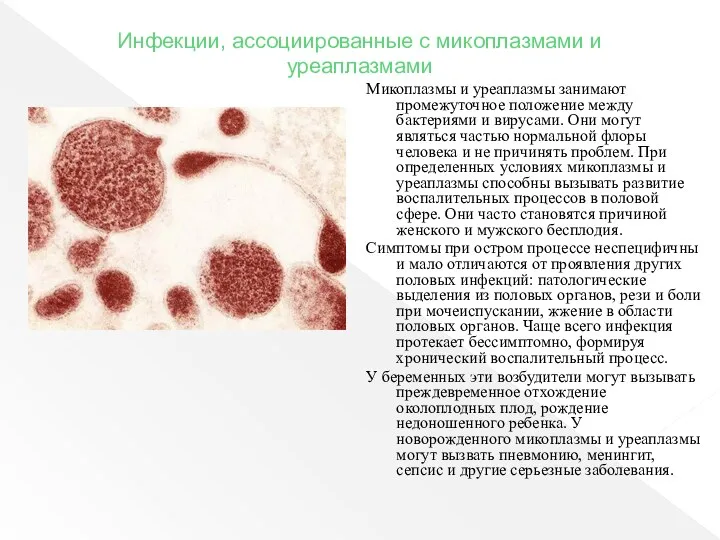 Инфекции, ассоциированные с микоплазмами и уреаплазмами Микоплазмы и уреаплазмы занимают