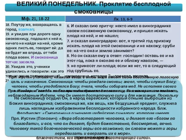 Прп. Иустин (Попович): «Каждая вещь в этом мире имеет свою