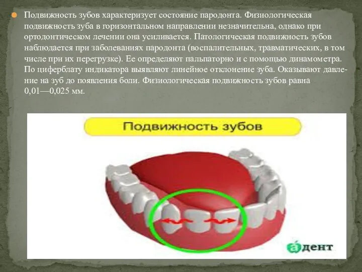 Подвижность зубов характеризует состояние пародонта. Физиологическая подвижность зуба в горизонтальном