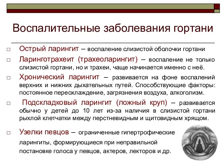 Воспалительные заболевания гортани Острый ларингит – воспаление слизистой оболочки гортани