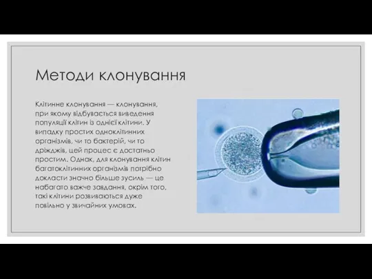 Методи клонування Клітинне клонування — клонування, при якому відбувається виведення