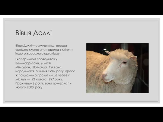 Вівця Доллі Вівця Доллі— самиця вівці, перша успішно клонована тварина
