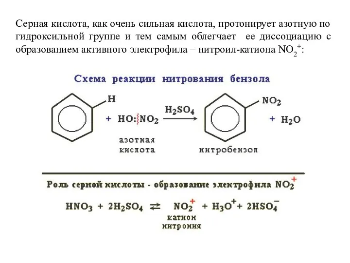 Серная кислота, как очень сильная кислота, протонирует азотную по гидроксильной
