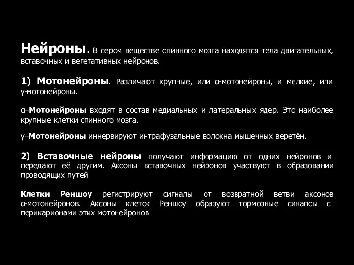 Нейроны. В сером веществе спинного мозга находятся тела двигательных, вставочных