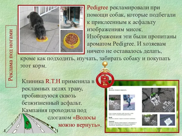 Реклама под ногами Pedigree рекламировали при помощи собак, которые подбегали к приклеенным к
