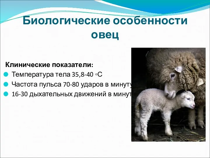 Биологические особенности овец Клинические показатели: Температура тела 35,8-40 ◦С Частота