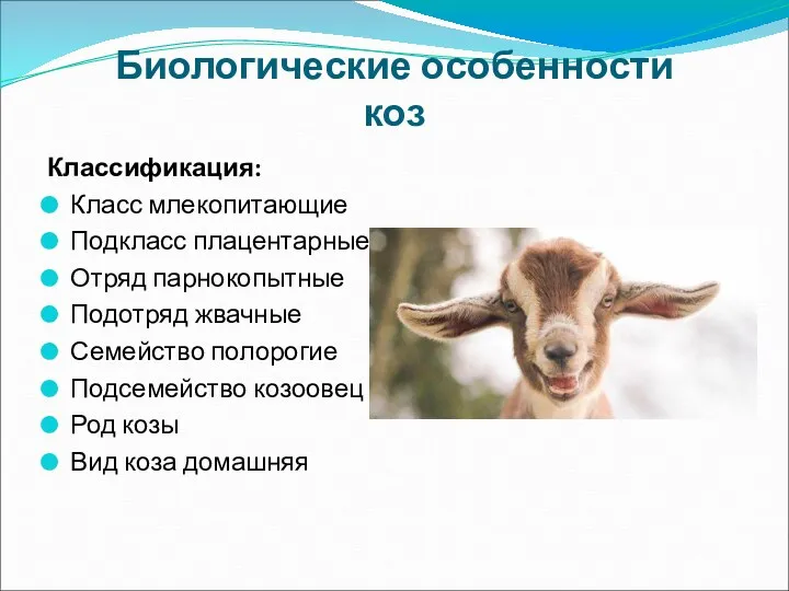 Биологические особенности коз Классификация: Класс млекопитающие Подкласс плацентарные Отряд парнокопытные
