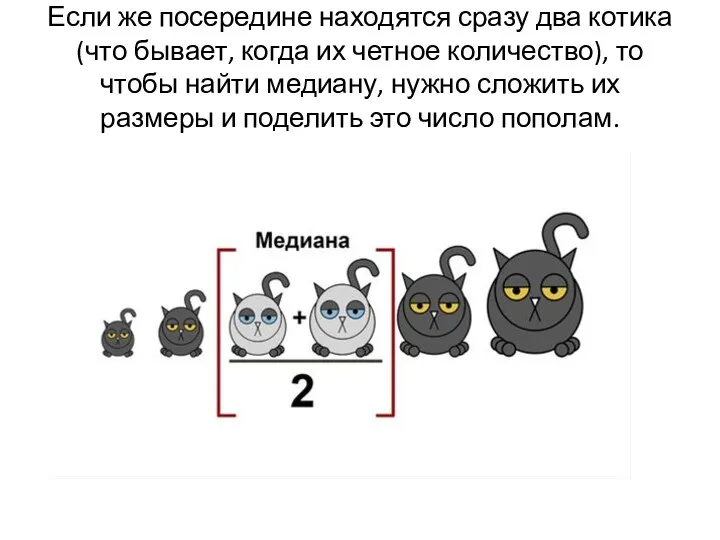 Если же посередине находятся сразу два котика (что бывает, когда