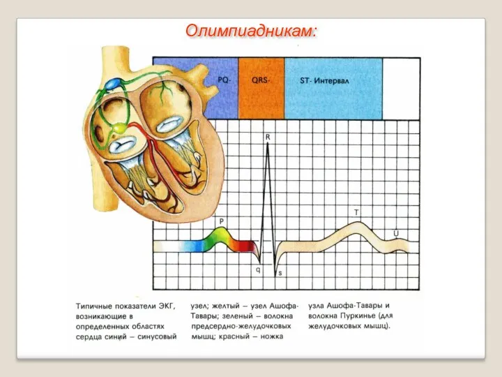 Олимпиадникам: