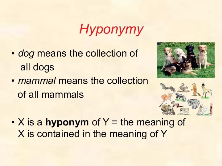 Hyponymy dog means the collection of all dogs mammal means