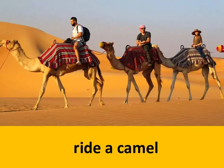 ride a camel