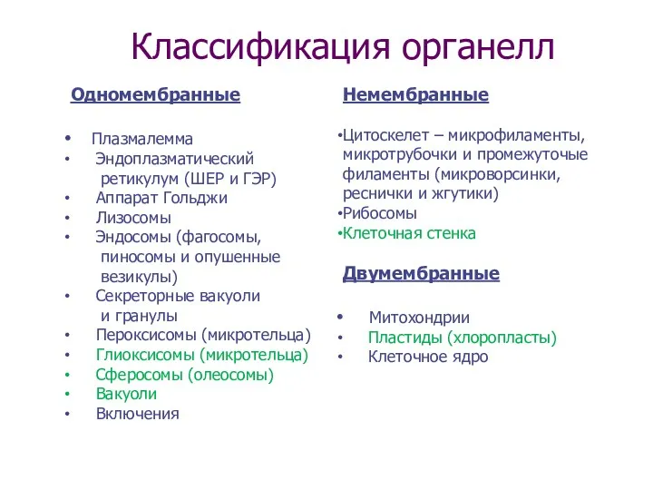 Классификация органелл