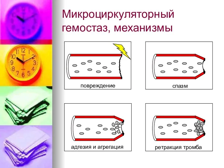 Микроциркуляторный гемостаз, механизмы