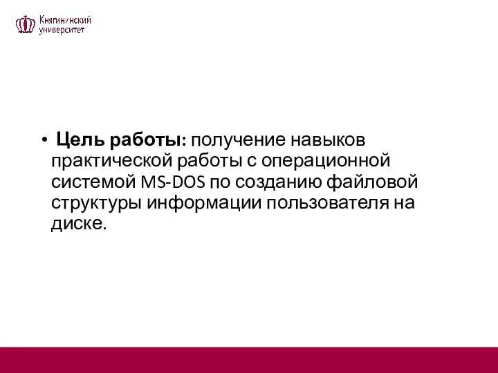 Цель работы: получение навыков практической работы с операционной системой MS-DOS