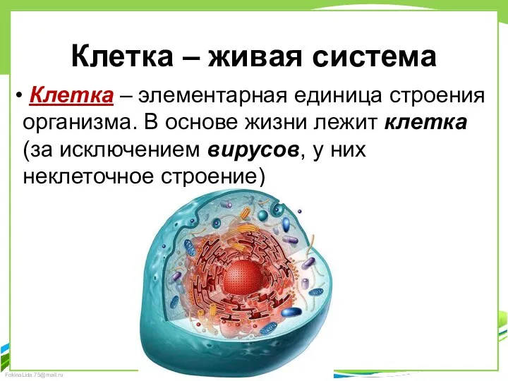 Клетка – живая система Клетка – элементарная единица строения организма.