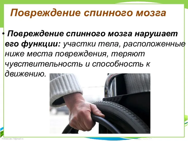 Повреждение спинного мозга нарушает его функции: участки тела, расположенные ниже