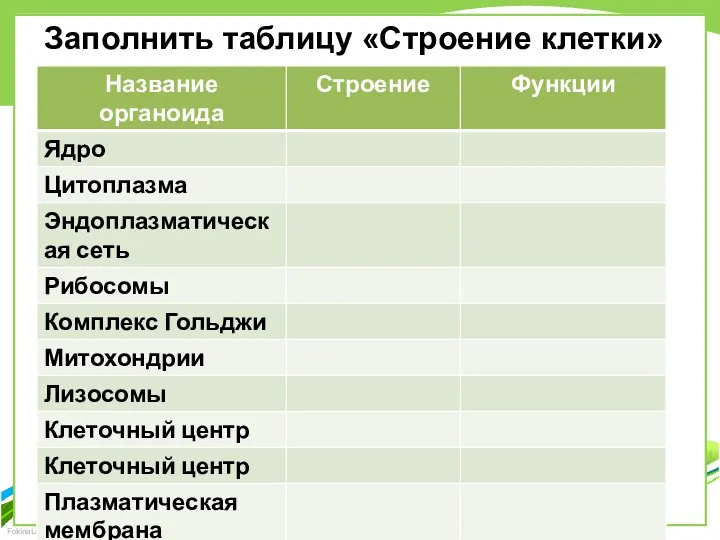 Заполнить таблицу «Строение клетки»