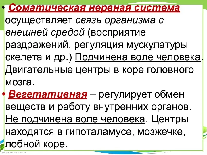 Соматическая нервная система осуществляет связь организма с внешней средой (восприятие