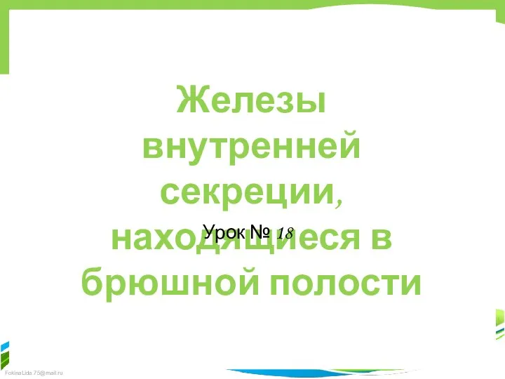 Железы внутренней секреции, находящиеся в брюшной полости Урок № 18