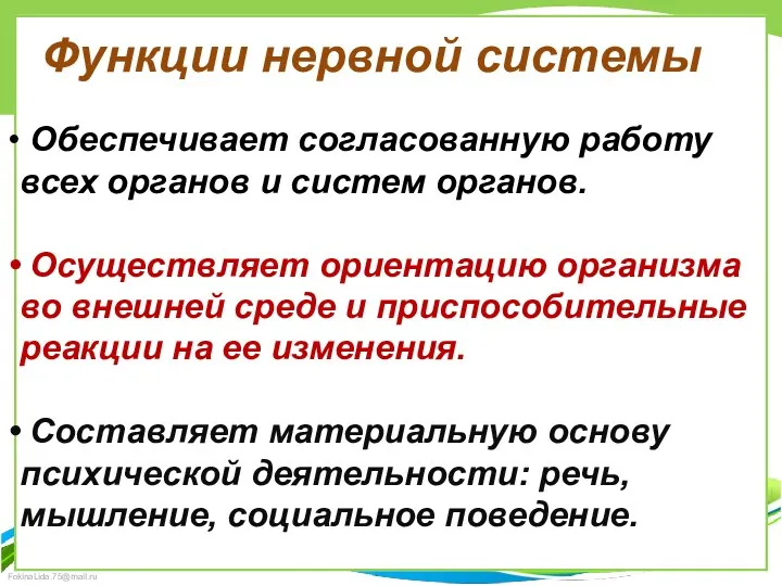 Обеспечивает согласованную работу всех органов и систем органов. Осуществляет ориентацию