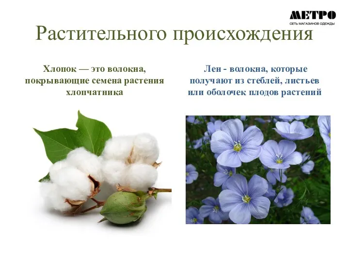 Растительного происхождения Хлопок — это волокна, покрывающие семена растения хлопчатника