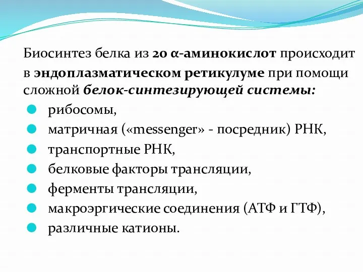 Биосинтез белка из 20 α-аминокислот происходит в эндоплазматическом ретикулуме при