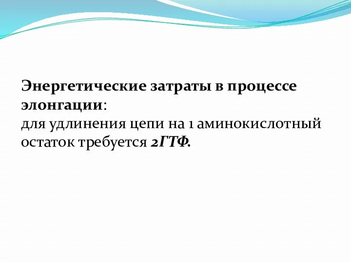 Энергетические затраты в процессе элонгации: для удлинения цепи на 1 аминокислотный остаток требуется 2ГТФ.