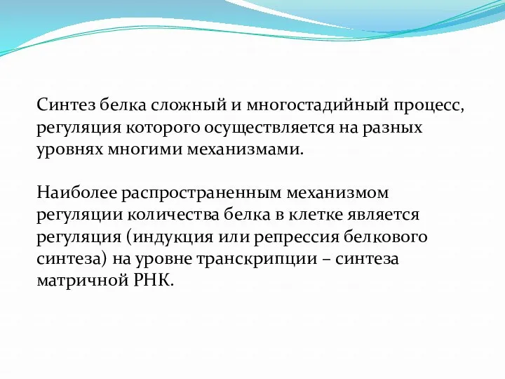 Синтез белка сложный и многостадийный процесс, регуляция которого осуществляется на